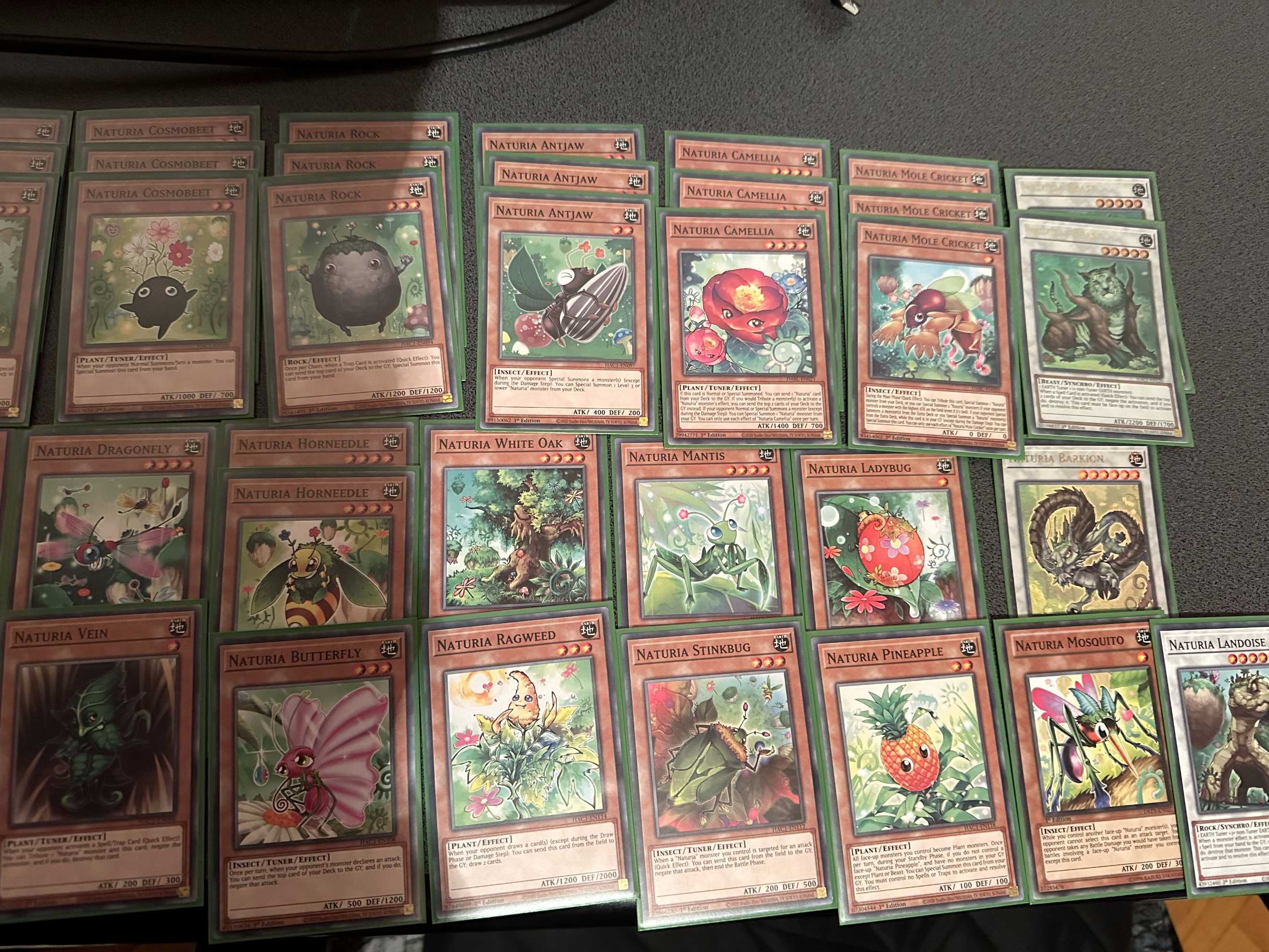Yu Gi Oh Naturia deck