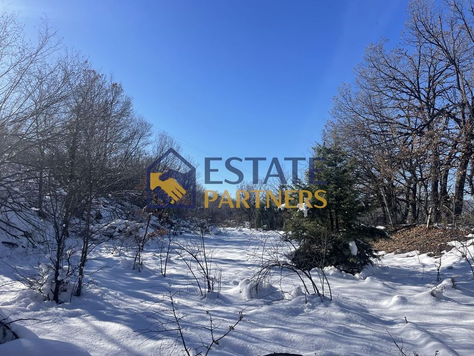 Продава се Парцел в с. Храбрино, Област Пловдив - 2094 кв.м за 12 €/кв.м - Снимка #2