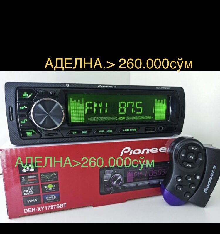 Pioneer 800w 2ta kalonka kata 11sm Magnitli yangi madel pishalkali new