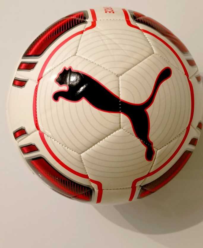 Футболна топка Puma Evo Force