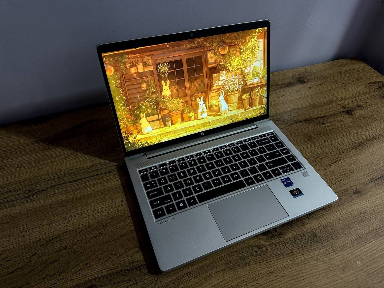 HP PROBOOK  440  Core  i5 12 avlod