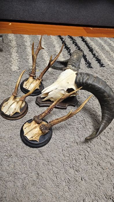 Un Frumos set de 4 panoplii