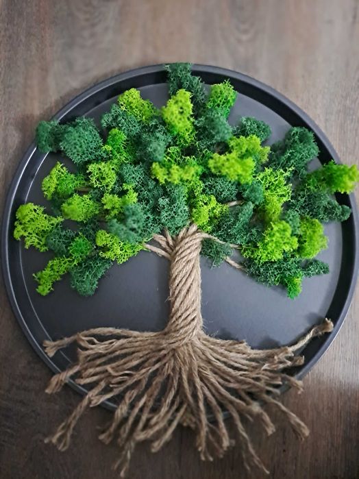 Tablouri cu licheni naturali stabilizati