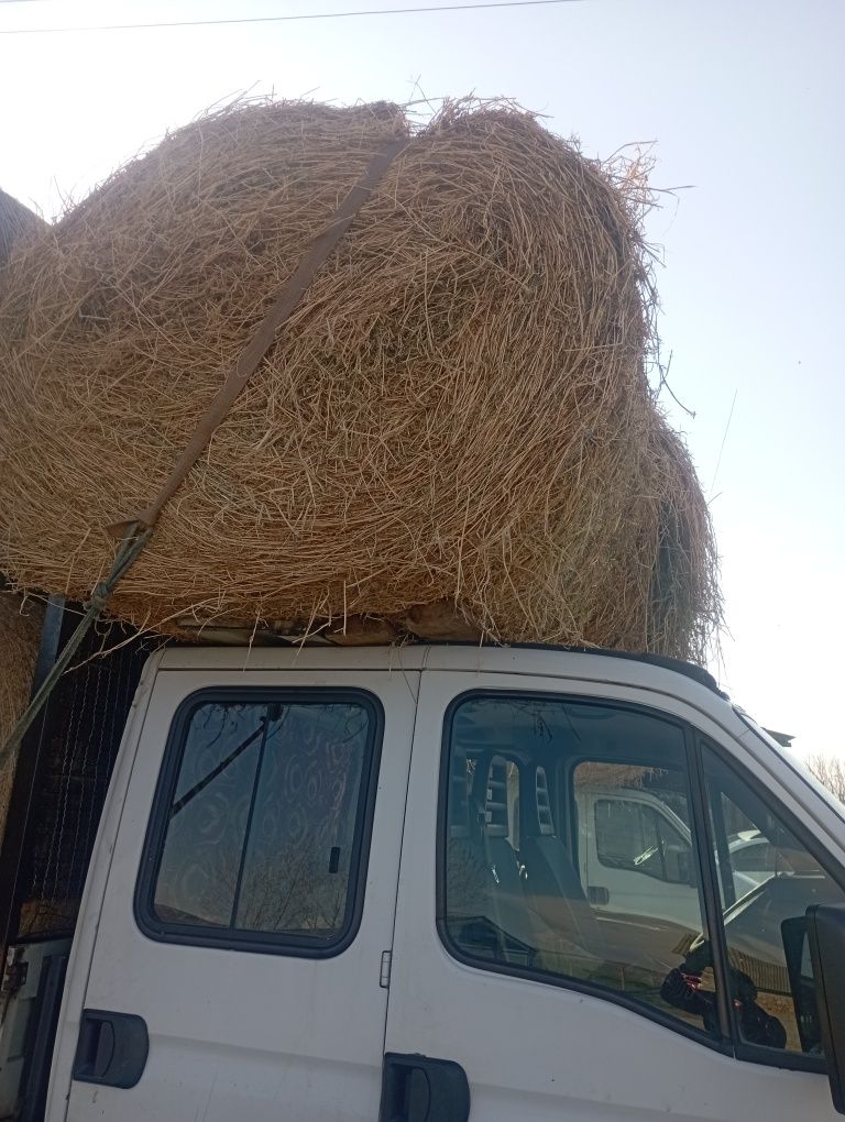 Baloți de lucernă de vânzare 120 120 rotunzi ,350