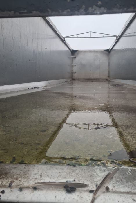 Man Tga 18.410 / Bena cereale