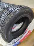 Gt radial winter pro2  215 65 r16