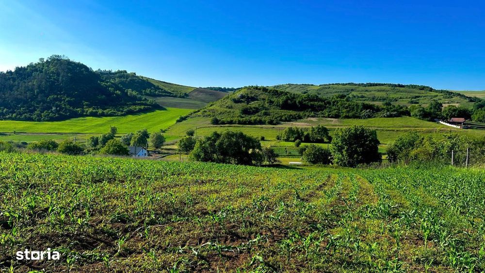 Vand teren intravilan in Sanisor cu suprafata de 4946 mp