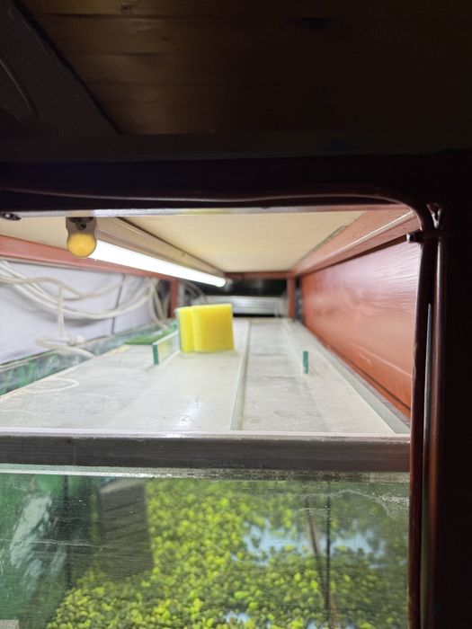 Стелаж с аквариуми