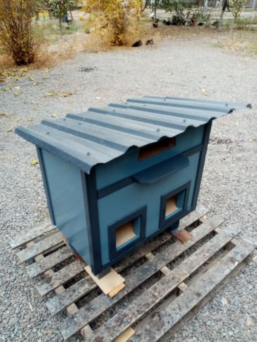 Коттедж для кошек