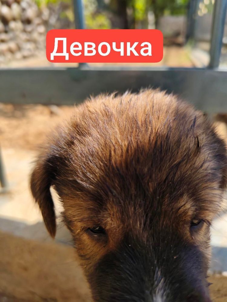 Малыши в ответственные руки!