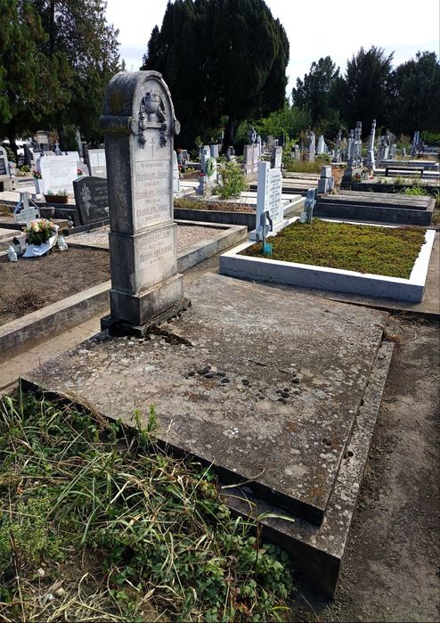Loc de veci in cimitirul Eternitatea, UTA