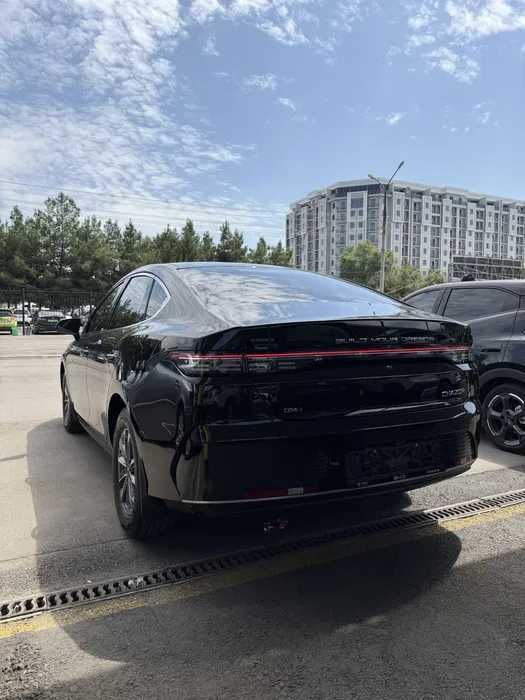 Byd Chazor 1 pozitsiya