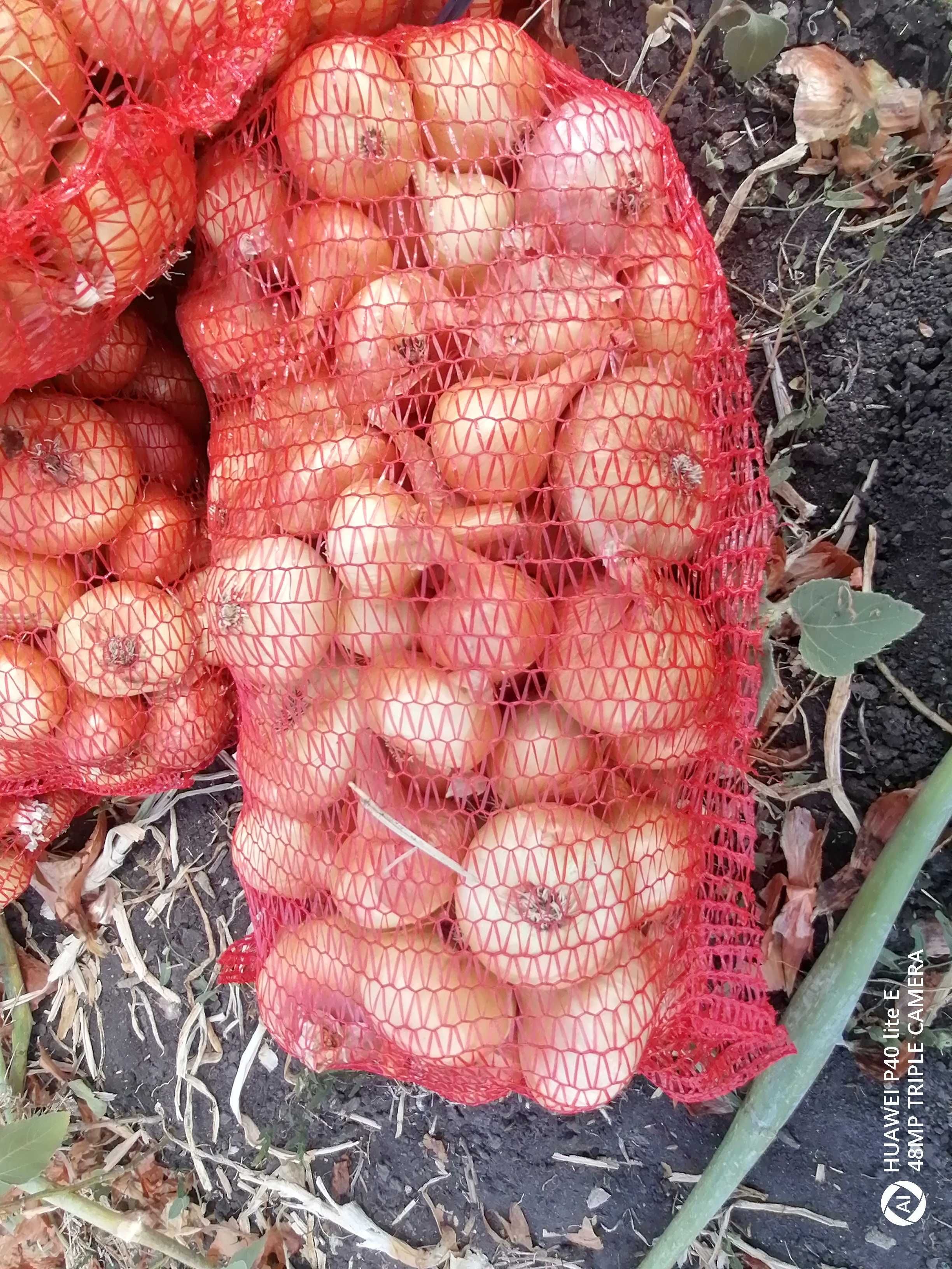 Продавам български лук