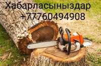 Спил,свал и обрезка деревьев вАлматы и Алматинской области!