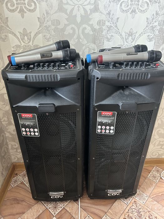 Аренда, прокат колонка 10000тг С микрофонами!