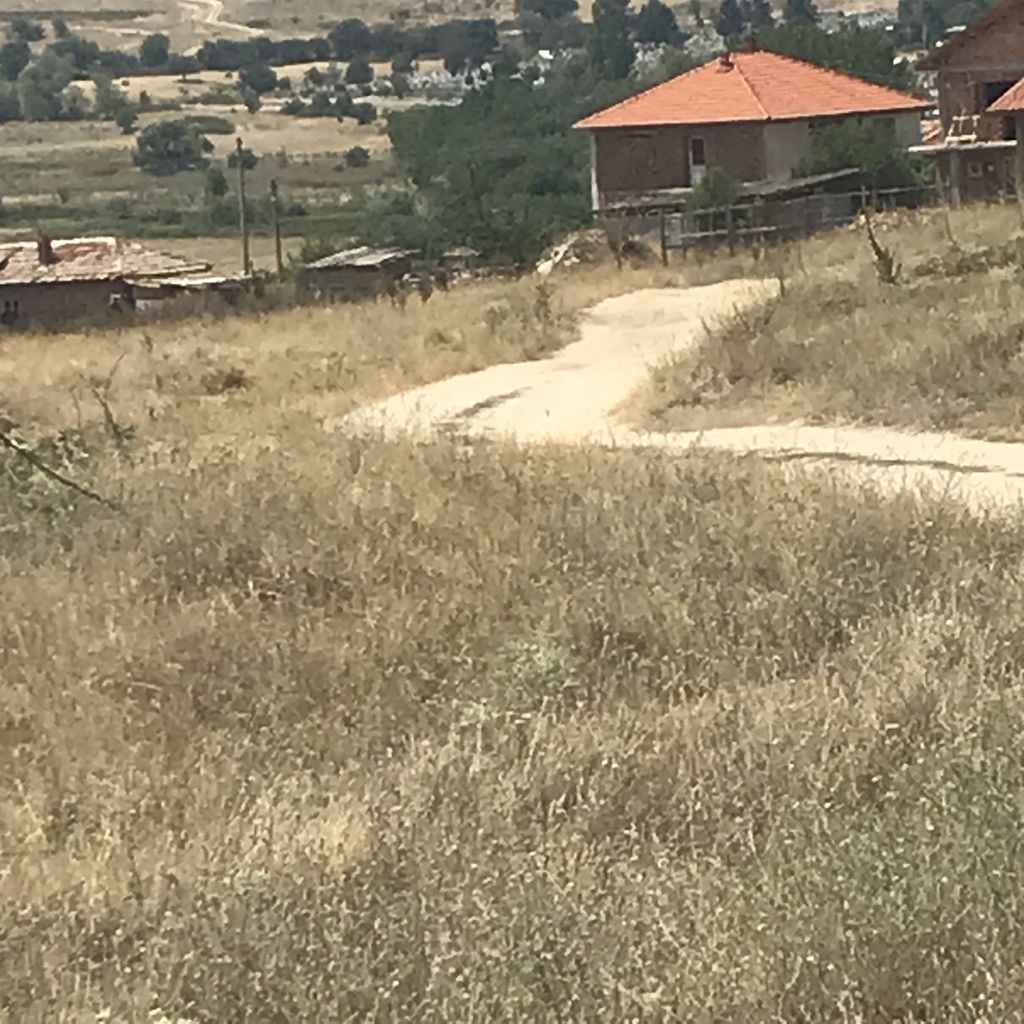 Продава се Парцел в с. Черногорово, Област Пазарджик - 12000 кв.м за 16 €/кв.м - Снимка #6