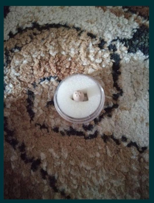 Cutie Gsm Box fără telefon pentru Copiat