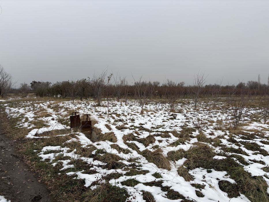 Продаётся 4,6 га земли (КХ)