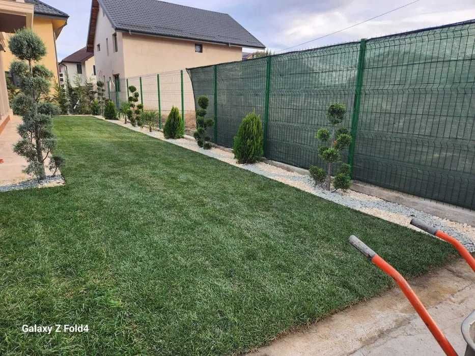 Îngrijire gazon completă – Fertilizare, tundere și irigare