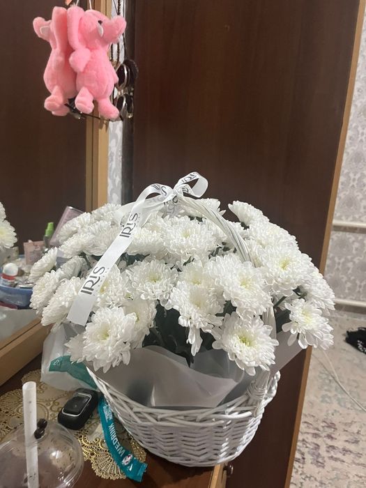 Гүл сатамын свежии