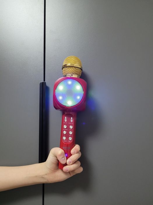 Микрофон WSTER WS-1815