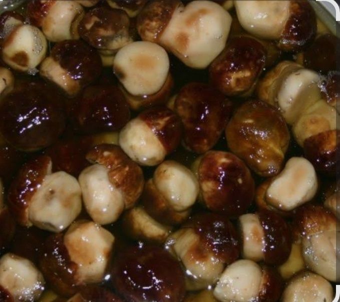 Продам грибы, свежие, вкусные