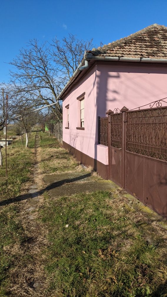 Casa cu gradina de vanzare in Sintea Mare jud Arad