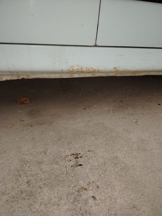 Holati yaxshi minishga tayyor