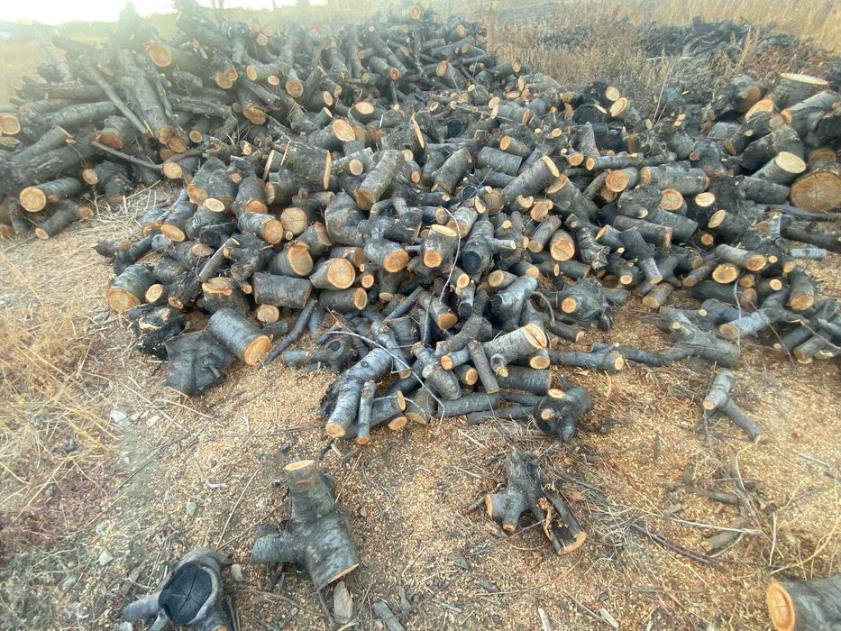 Дърва за огрев от череша