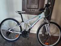 Cross Speedster 26