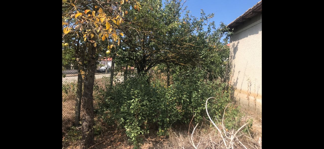 Продава се Къща в София, Надежда 2 - 95 кв.м за 316 €/кв.м - Снимка #7