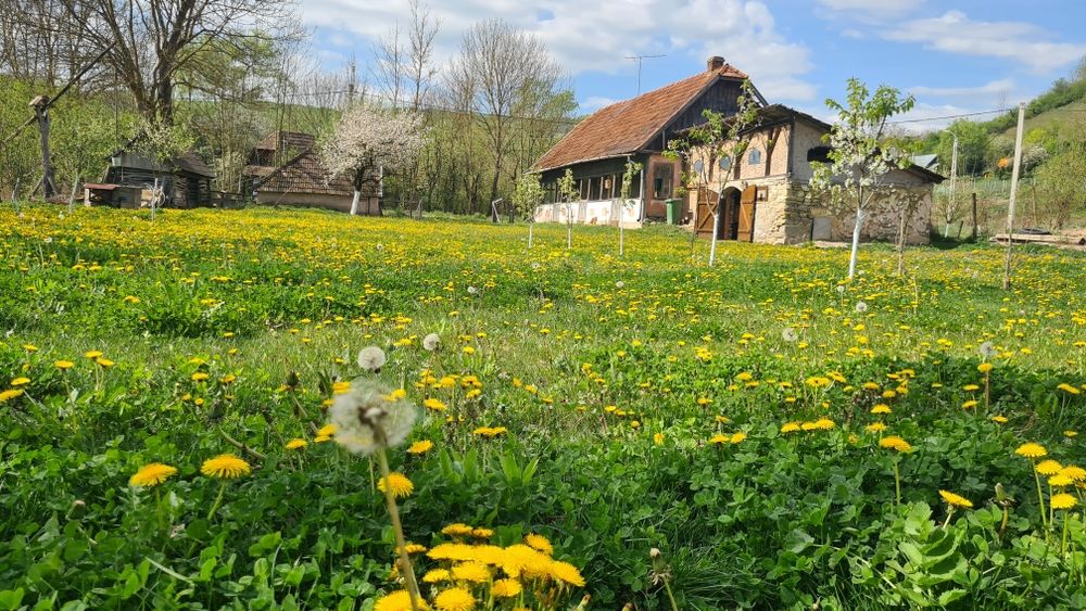 Casa de vanzare in Stejeris