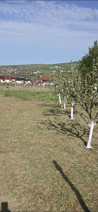 Vand teren intravilan zona Bucium
