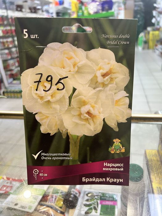Луковицы Нарициссов