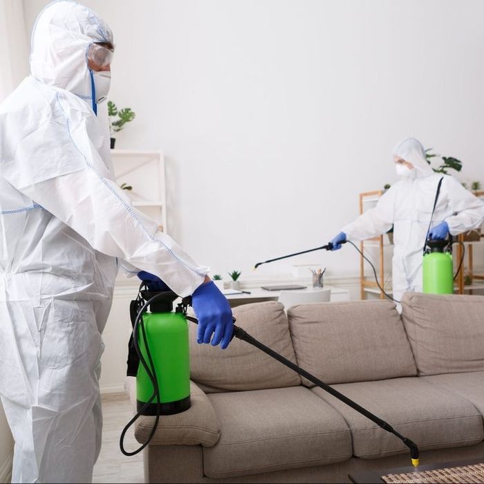 Дезинфекция дизенфекция дезенфекция | Гарантия 1 год