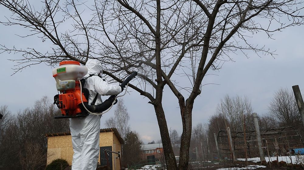 Обрезка, стрижка спил, дезенфекция обработка деревьев Садовник Богбон