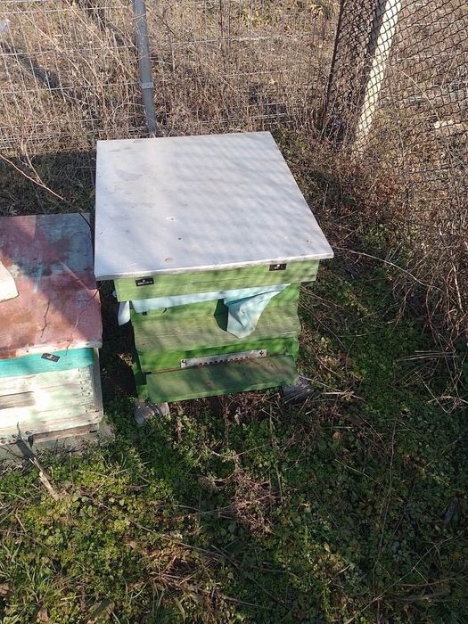 Пчелни празни кошери