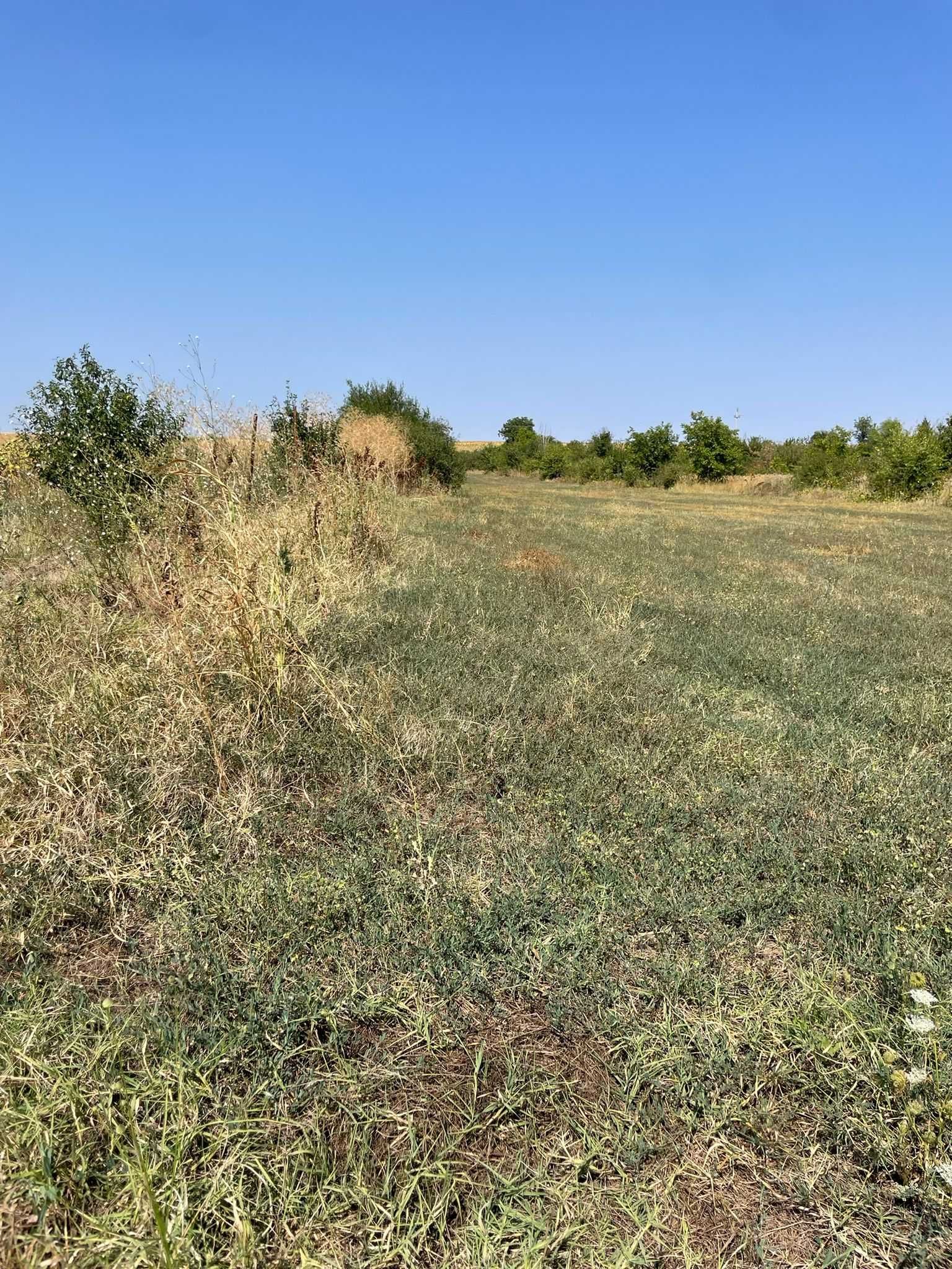 Teren intravilan parcelabil în Călugăreni–avans 5.000 €,36 rate x280 €