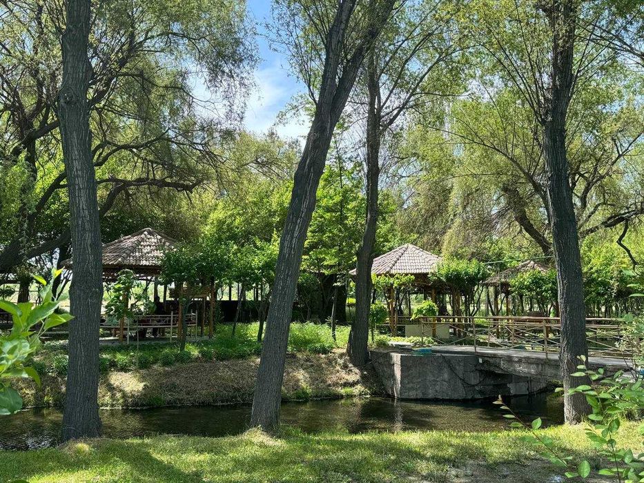 СУПЕР СРОЧНО! !Продается зона отдыха в Ахангаране. 7.77 Га