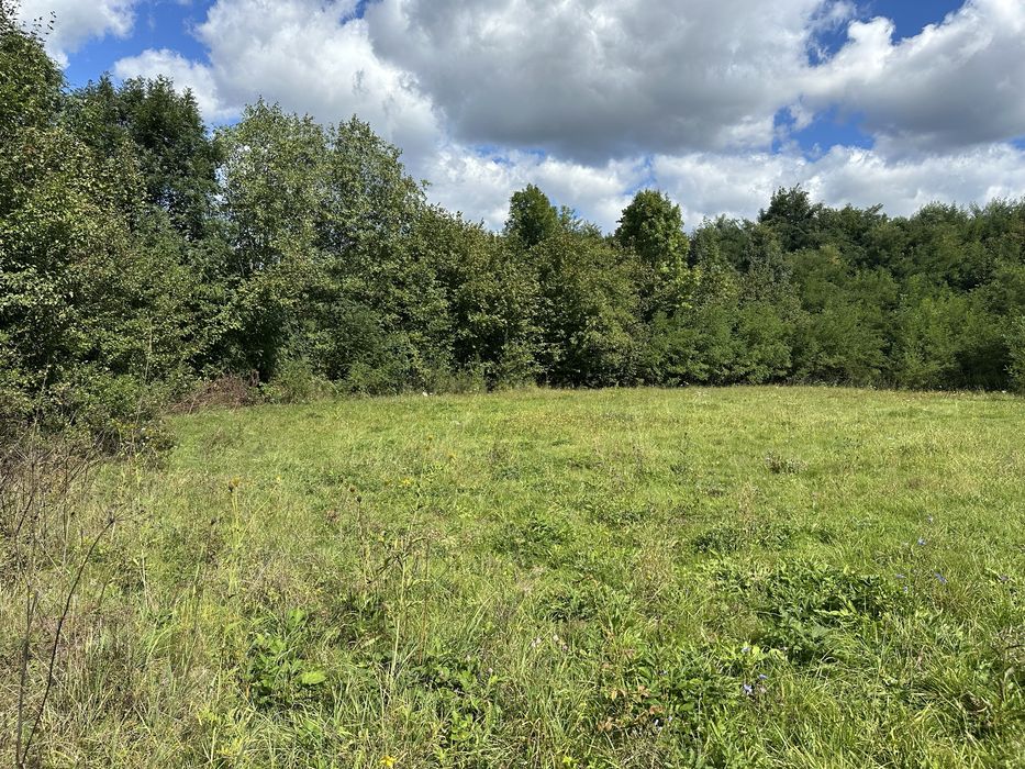 Vand teren valea avrigului (in lunca)