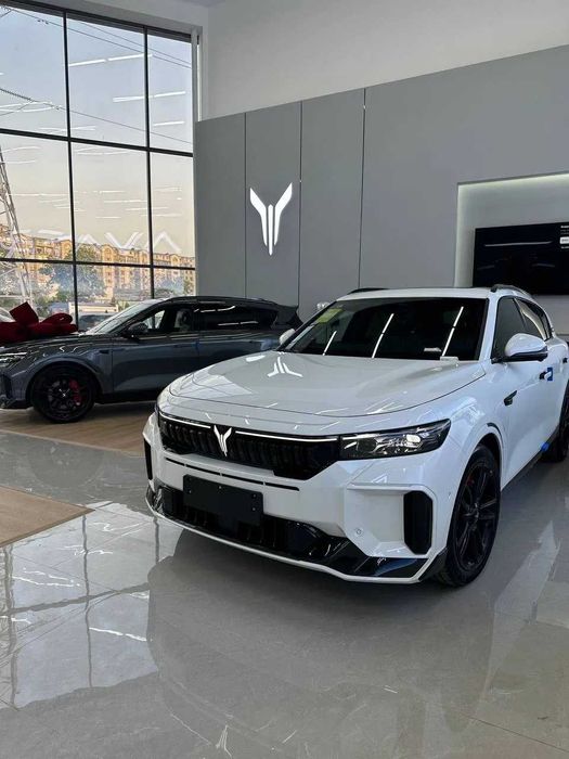 Voyah free nalichi nasiya rasrochka