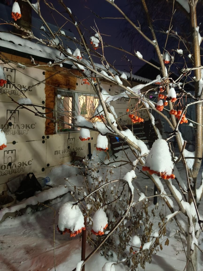 Продам зимнюю дачу в городе