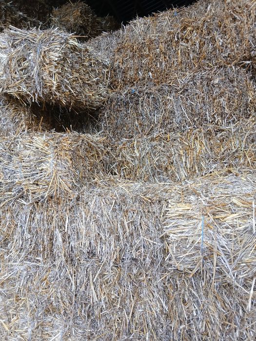 Orz de vânzare și baloti de paie de grâu