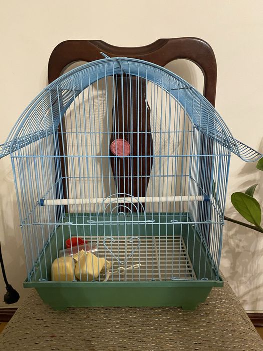 Клетка для птиц