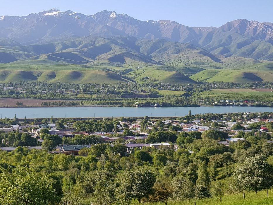 Продам дачу в горах Узбекистана