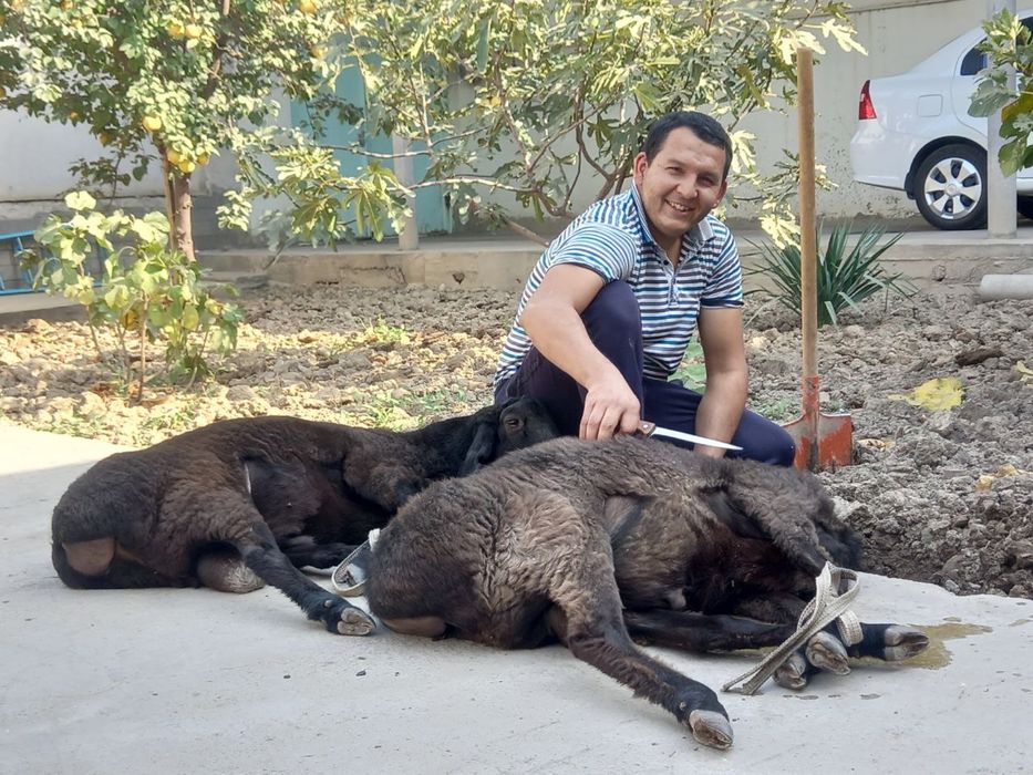 Qassob xizmati va qo'chqorlar