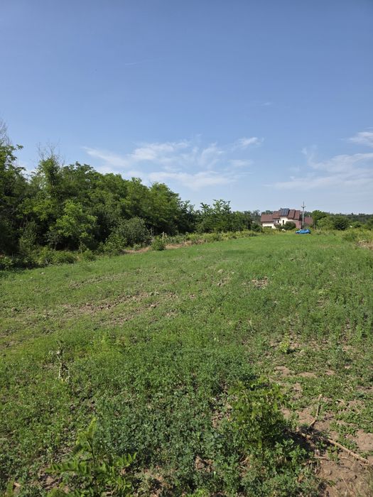 Teren intravilan BRANESTI PASAREA