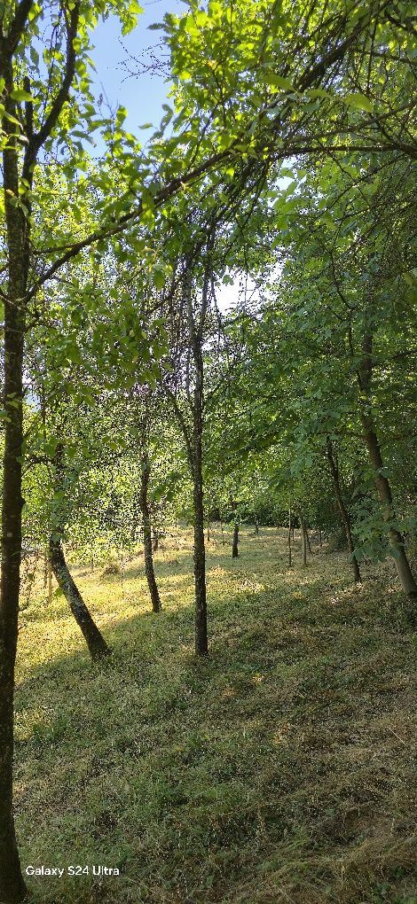 Teren intravilan 2500 mp la sat