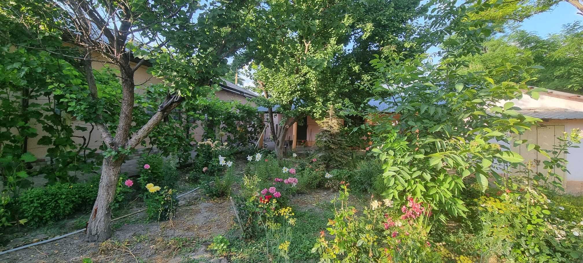 Casa de vânzare Bogata, județ Calarasi