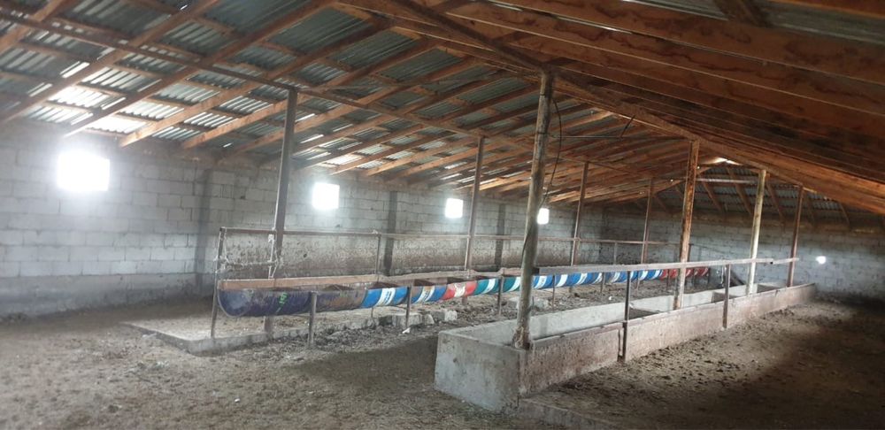 Откорм - Фазенда- Крестьянское хозяйство Аксенгир ауылы